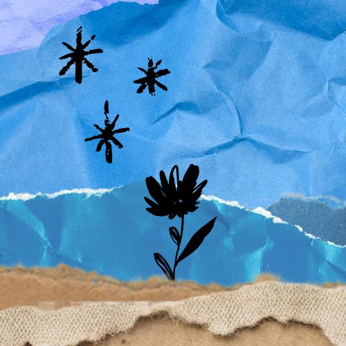 a bag of seeds and stars