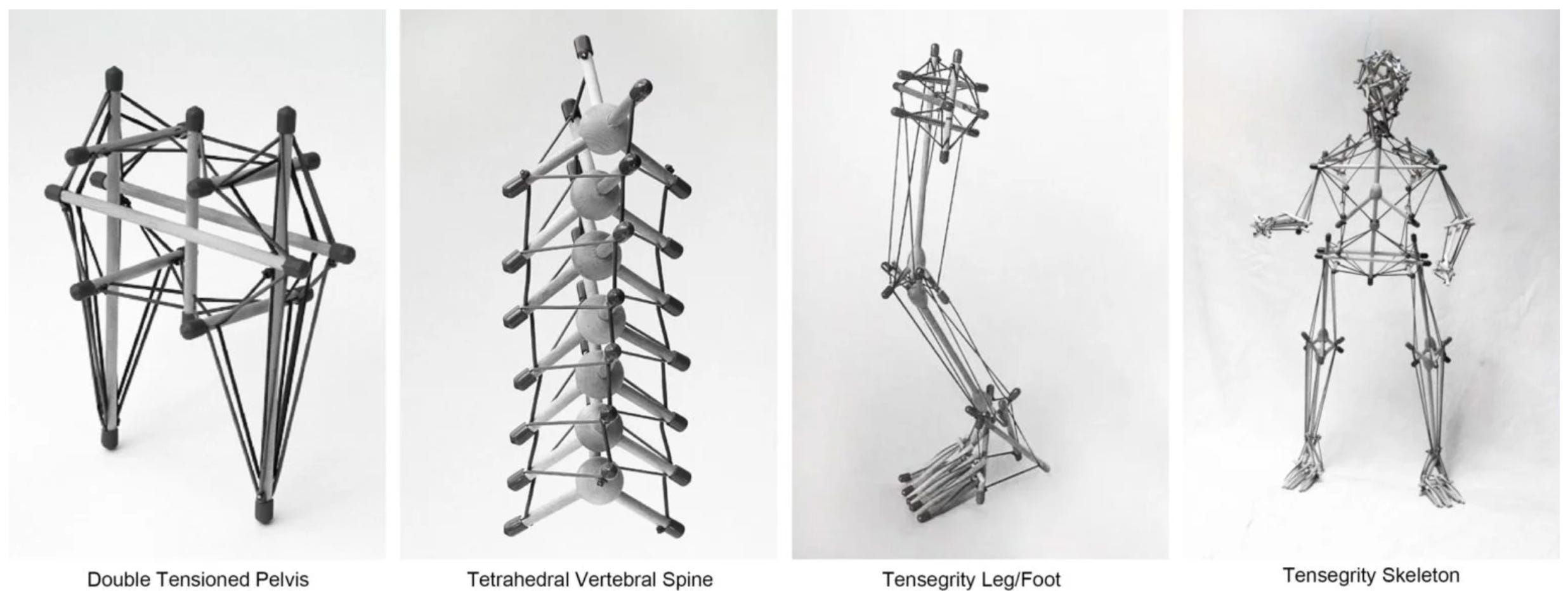 How High Heels Shape Genetic Expression - by Cameron Borg