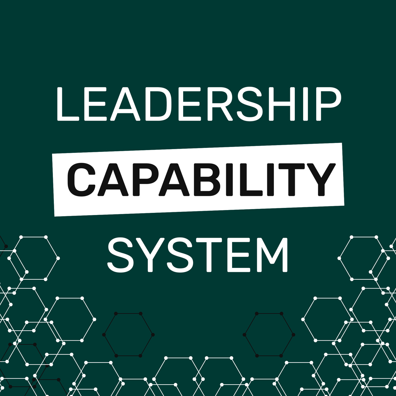 Leadership Capability System