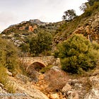CAMÍ DE L'ESCALA DEL PAS NOU