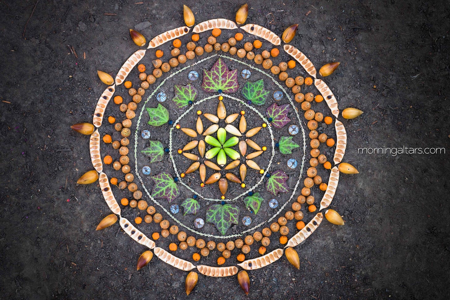 Modern Horticultural Therapy uses a variety of tasks to aid recovery, including botanical mandalas. Often made with leaves, flowers and other plant parts that are readily found. ('the temple's tile' www.morningaltars.com, 2015)
