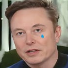 Elon Musk Agrees: 'Saving' The Country Will Require Doing Things 'That Make Women Sad.'