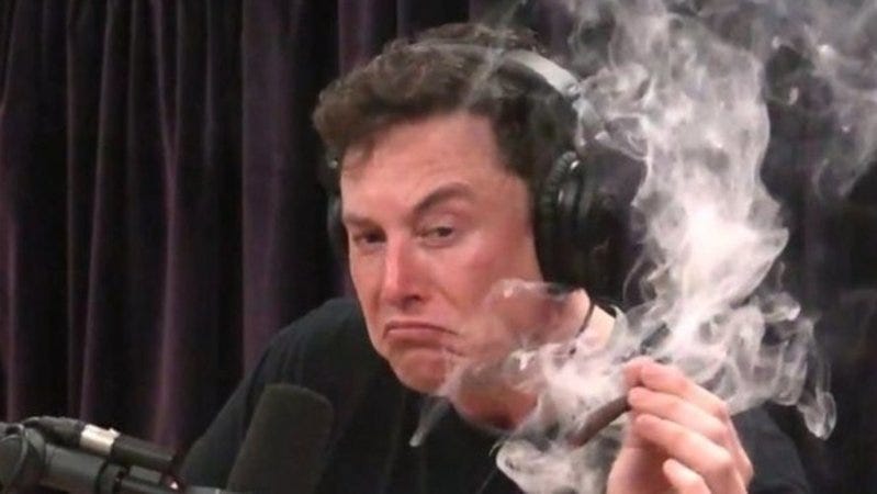 Petition · Elon musk : Get Elon musk to host meme review · Change.org