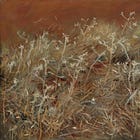 Politics and Testimonies