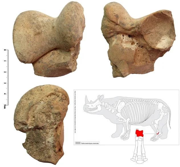What 11,000 Animal Remains Reveal About Ancient Life in Iran’s Zagros ...