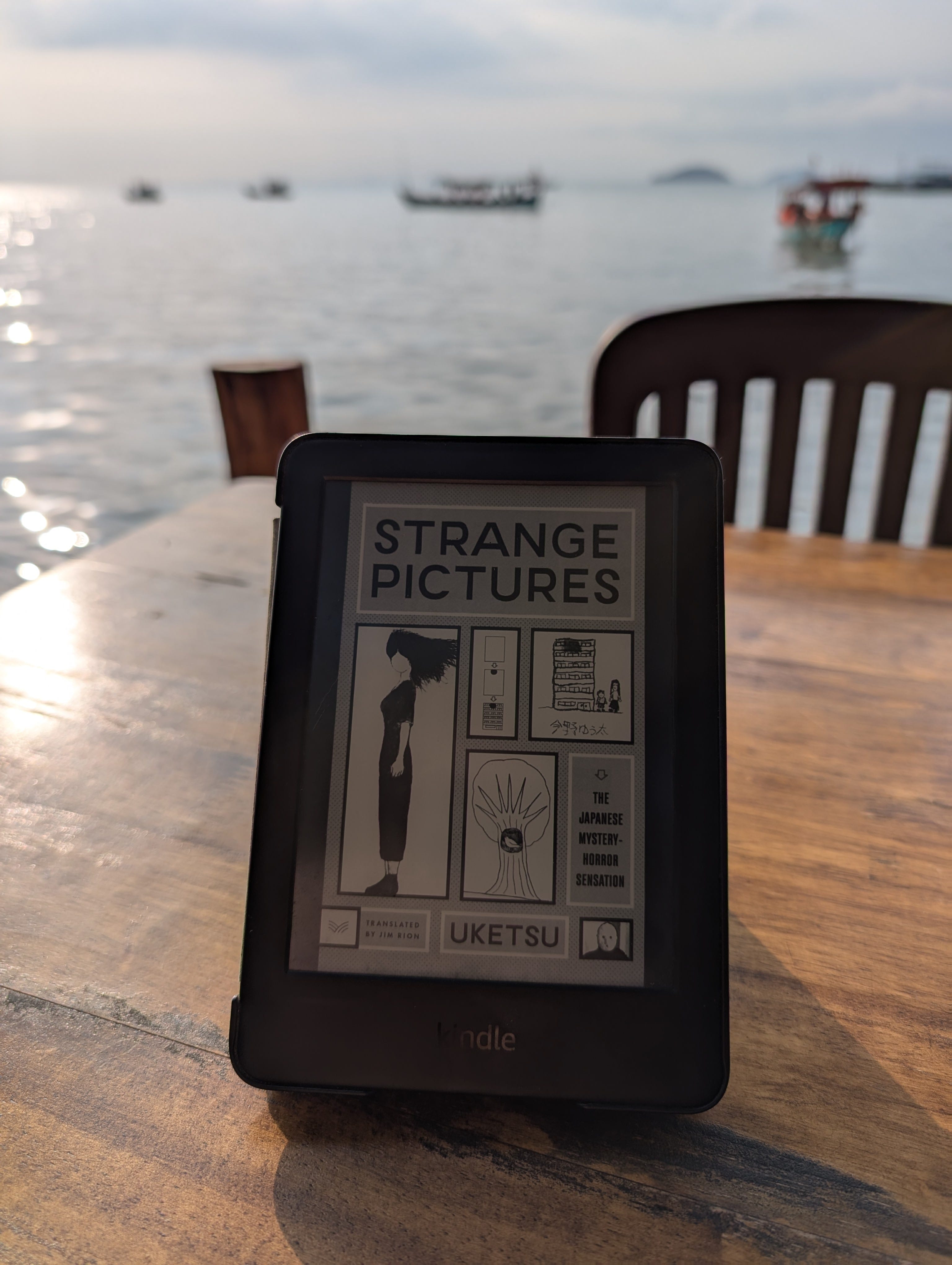 J-Lit Review #5: Strange Pictures - by David S. Wills