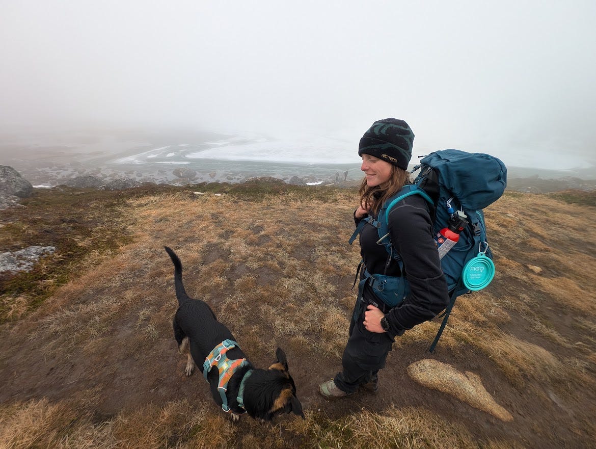 A hiker in a dark camo beanie, black fleece, and large teal backpack stands on brown tundra, hands on her hips, smiling as she looks off to the side. A collapsible teal dog bowl clips to her pack. Beside her, a black and tan dog in a colorful harness sniffs at the ground, tail up. Behind them, the pale surface of a frozen, partly snow-covered lake stretches into heavy fog that erases the far shore.