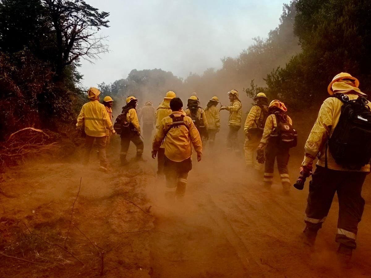 Volunteer and professional firefighters work in Chubut Province, Argentina, during a wildfire in February this year.