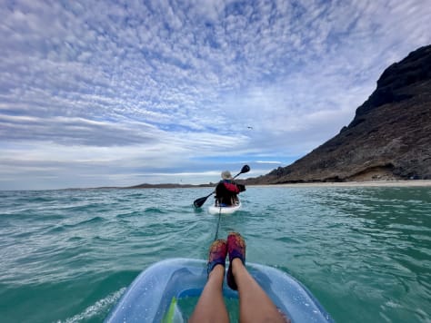 Photos of Liz, Seth, and the dogs in Baja