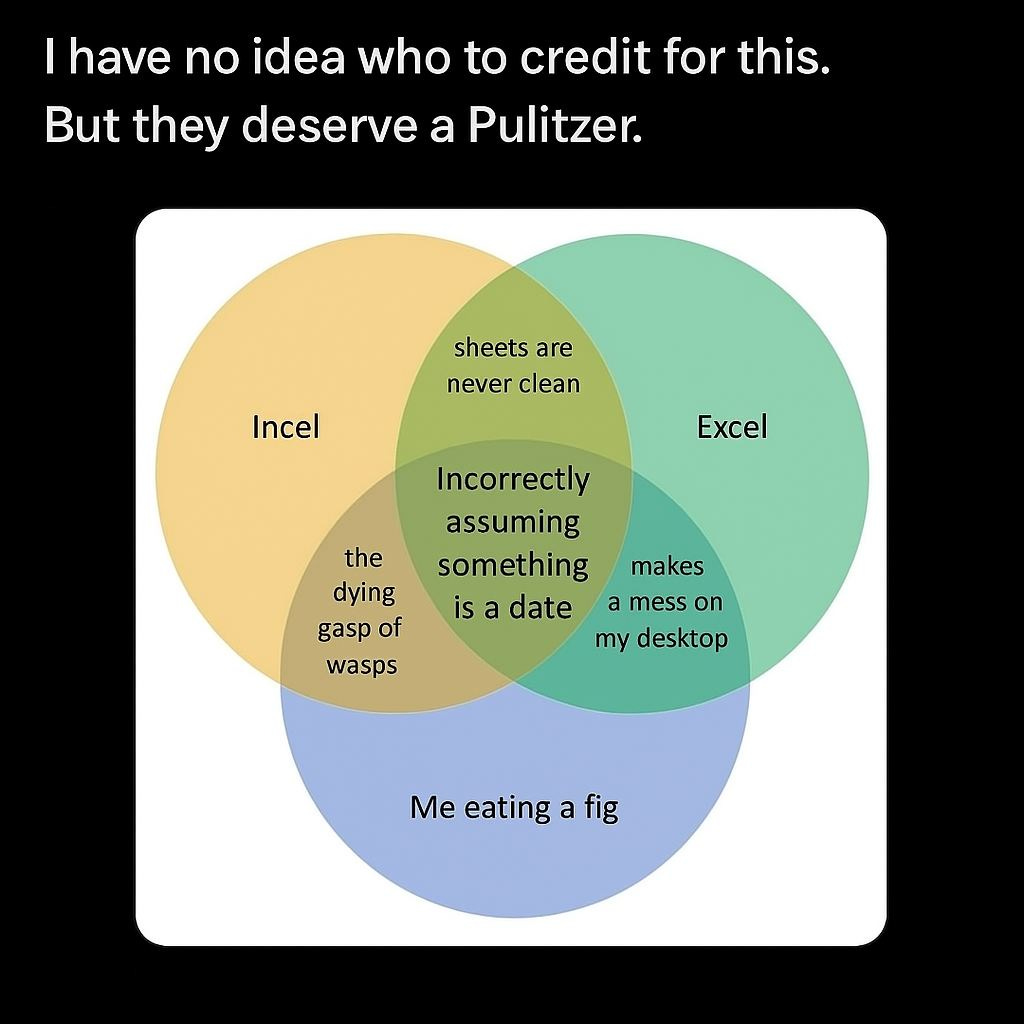 May be a graphic of text that says "I have no idea who to credit for this. But they deserve a Pulitzer. sheets are never clean Incel Excel the dying gasp of wasps Incorrectly assuming something makes is a date a mess on my desktop Me eating Meeatingafi a fig"
