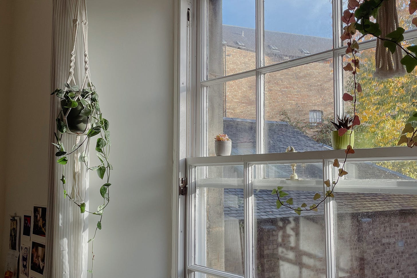 A view of my window where soft light is streaming in, creating a calm and cosy atmosphere.