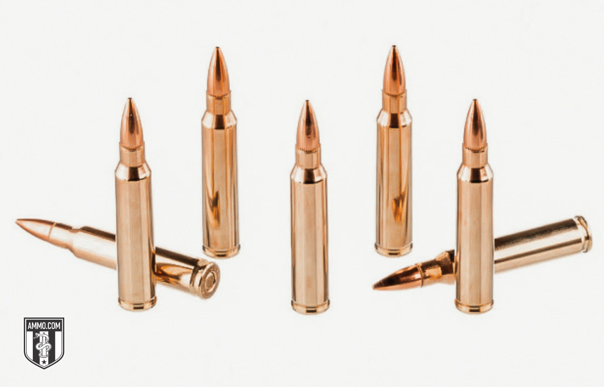 223 Rem Ammo Image