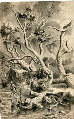 Samuel Daniell, Portrait of a KhoiKhoi, a San and Tswana men ('Hottentot, Bosjesman, Booshwana'), 1820.; Khoikhoi Fording a Stream, 1700; African Ox and Khoi Couple; 1700-1730; Khoi Women Dancing. Vijf danssende Hottentottinnen, 1700-1740; Khoi Women and Dutch Colonist., 1700-1740; Engraving of Khoikhoi figures and dwellings ~1700; Illustration or stylized image of San figures and cattle; uKhahlamba–Drakensberg "Rain-Bull Scene, 1000 BCE-40 CE