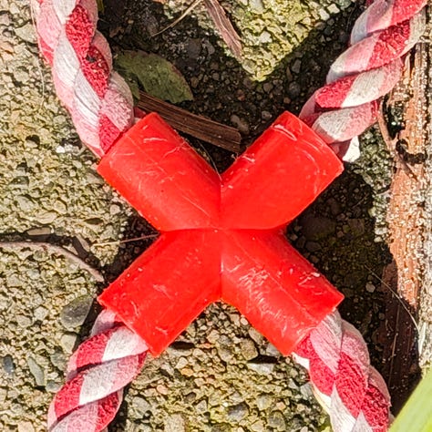 Photographs show a range of red subjects - a notebook cover top left, a close up of a plastic red toy, a faded red post office sign, a red letter box, a red and white rope on a dog toy and a red sign offering home made coffe