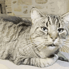 A Peek Inside The Best Foodie Kitchens On Instagram! Tabs, Tues., Jan. 2, 2024