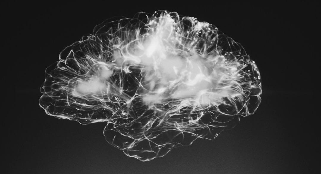 a black and white photo of a brain