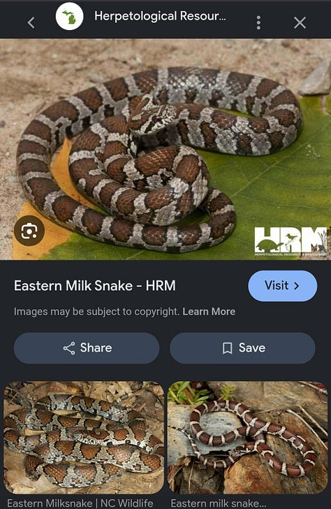 Don't worry, it's safe!