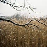 New England Parks Project