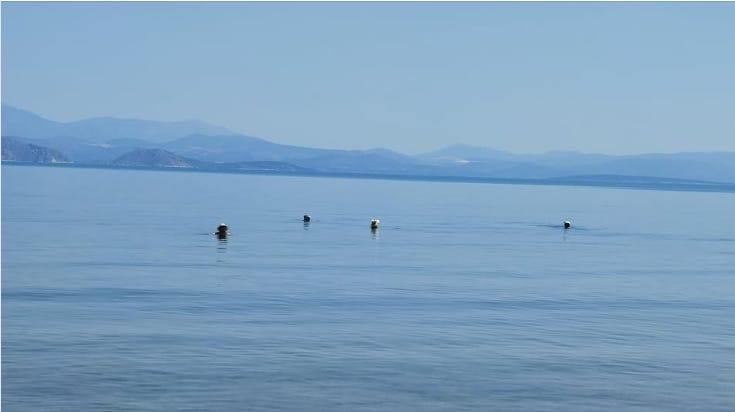 Greek sea with hats