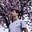 Avatar de Romain