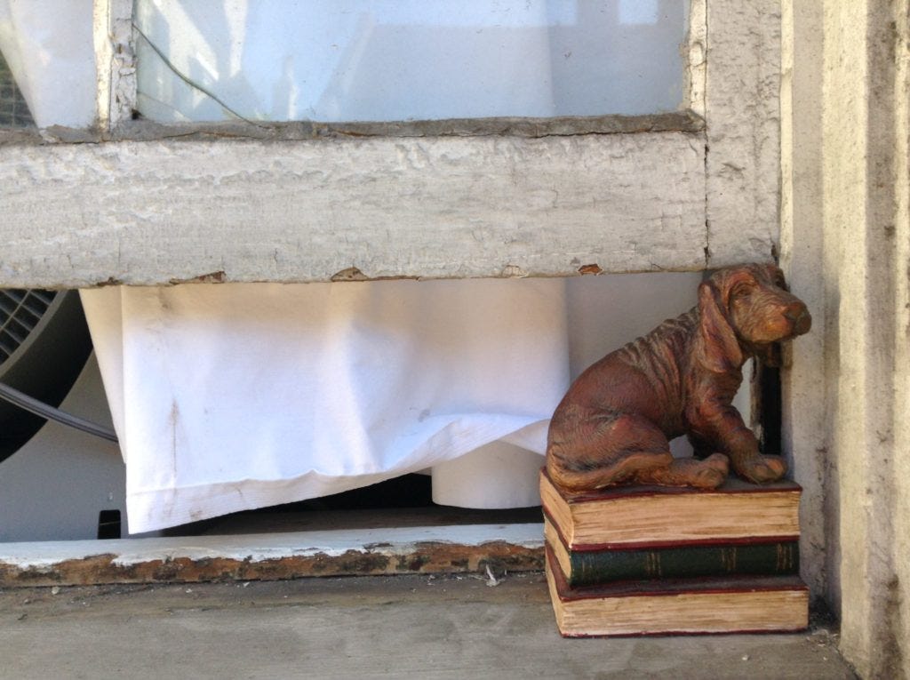 Bassett, Hush Puppy, French Quarter, New Orleans, USA, Dog, Fenster