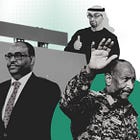 Emirati radars, illegal fishing & forest fires