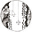 Blake Pelton's avatar