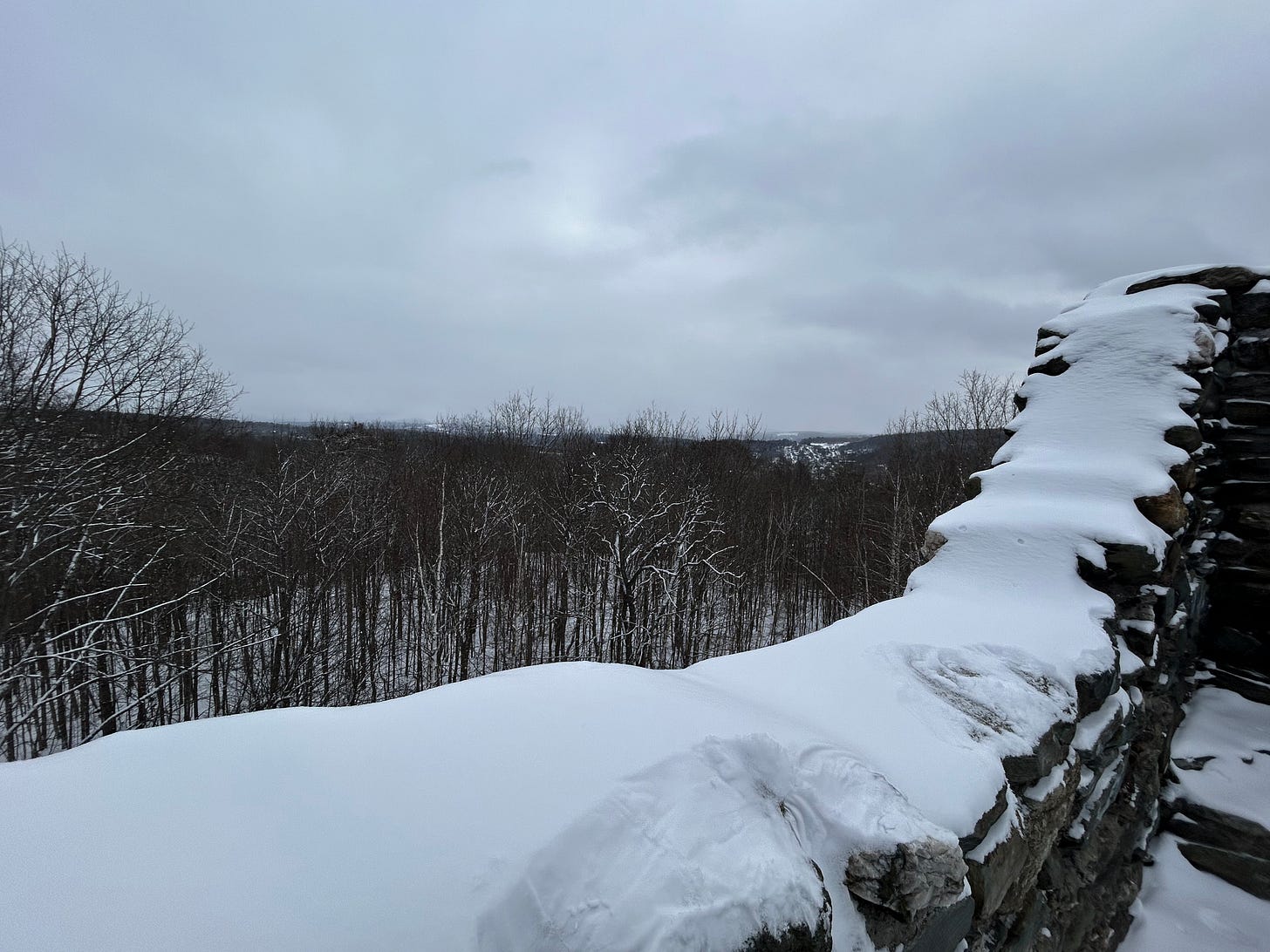 Montpelier, Vermont. View from a hilltop in winter. Bare trees, a stone wall covered in snow.