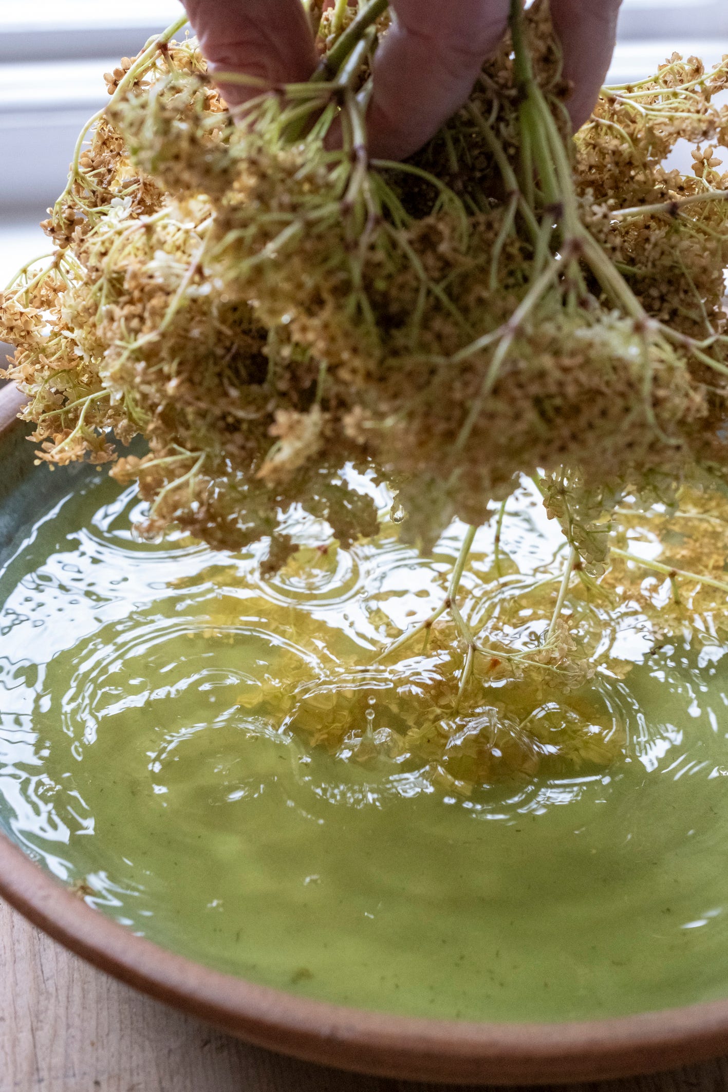 Lifting out the flowerheads