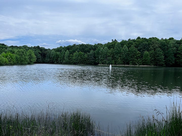 four pictures of lakes and ponds
