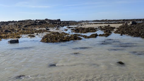 beach scenes