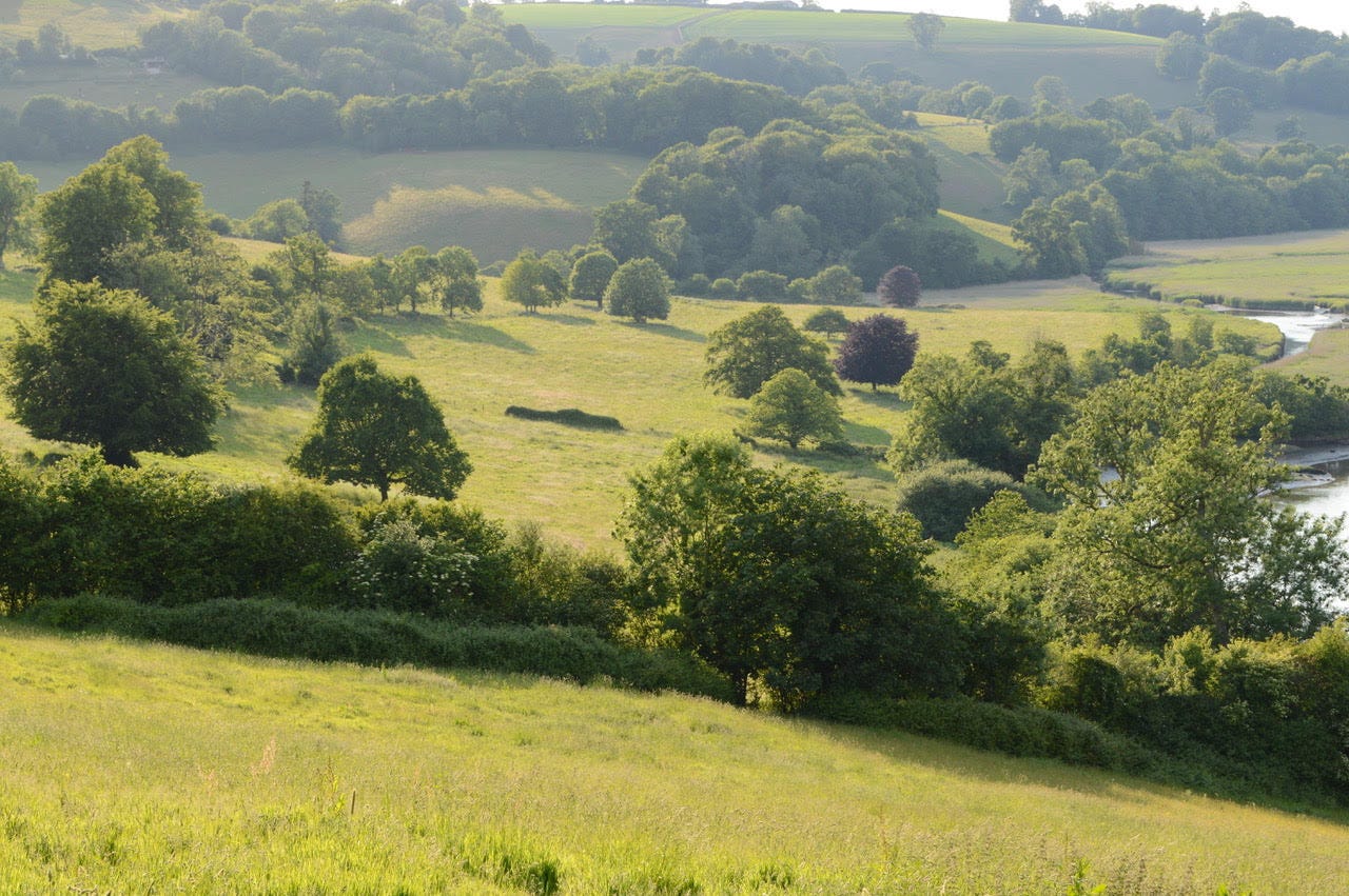 Landscape photos of trees in a green valley, leading down to a body of water