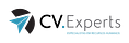 CV.Experts - Especialistas em RH®