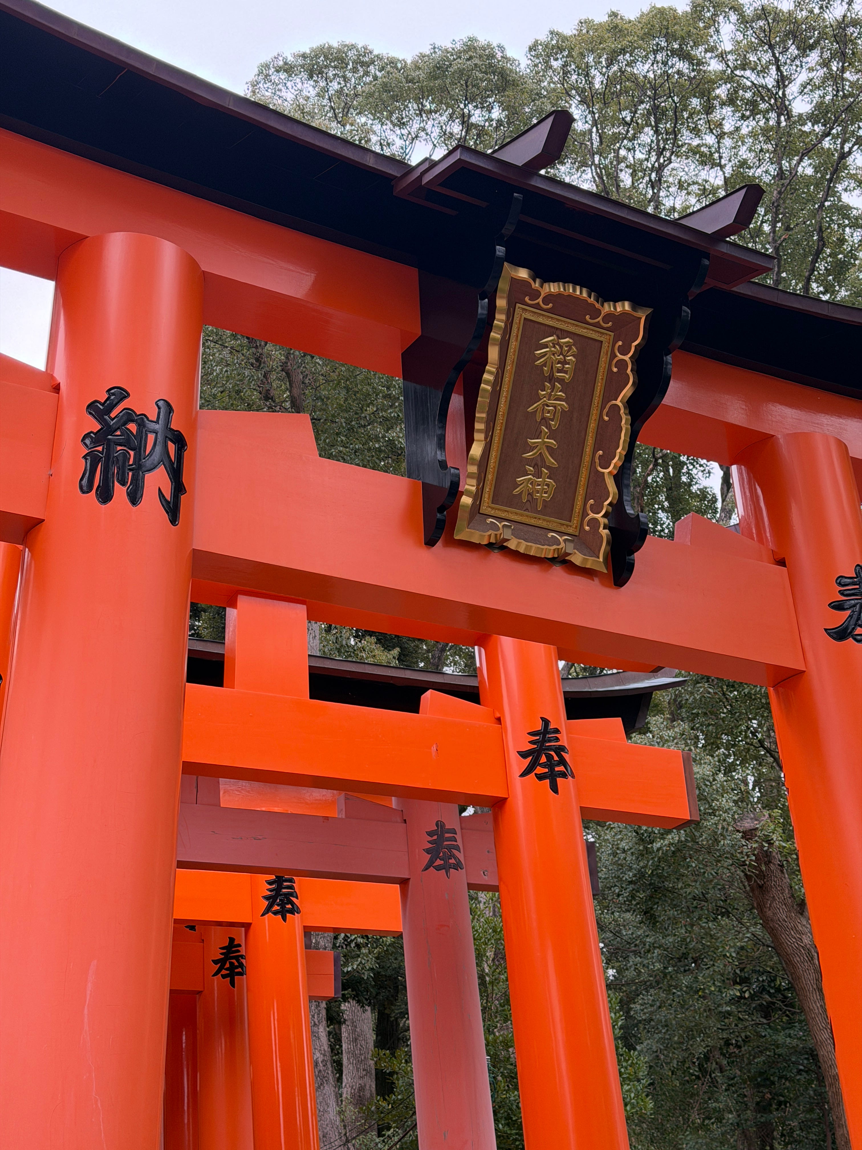 The Japan Diaries - Tokyo, Hakone & Kyoto