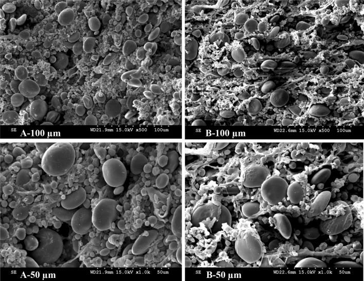 Fig. 4