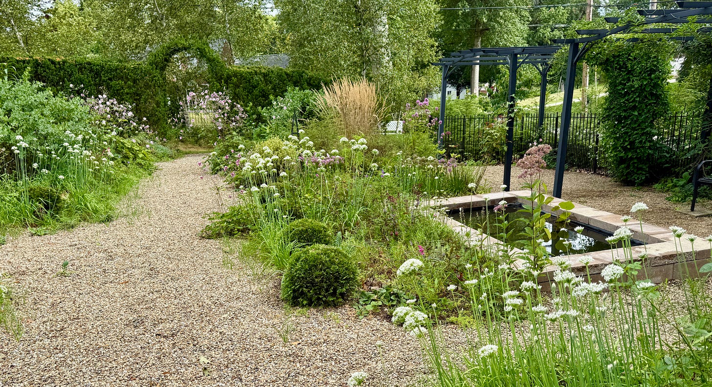 A new pool in the Cottage Garden this month