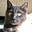 Robin Domek's avatar