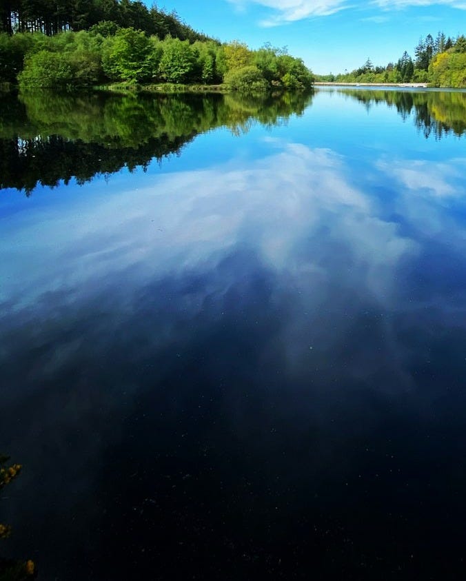 green trees beside lake under blue sky during daytime green trees beside lake under blue sky during daytime