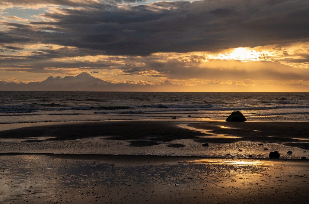 Homer: Sunsets, Eagles, and Flowers
