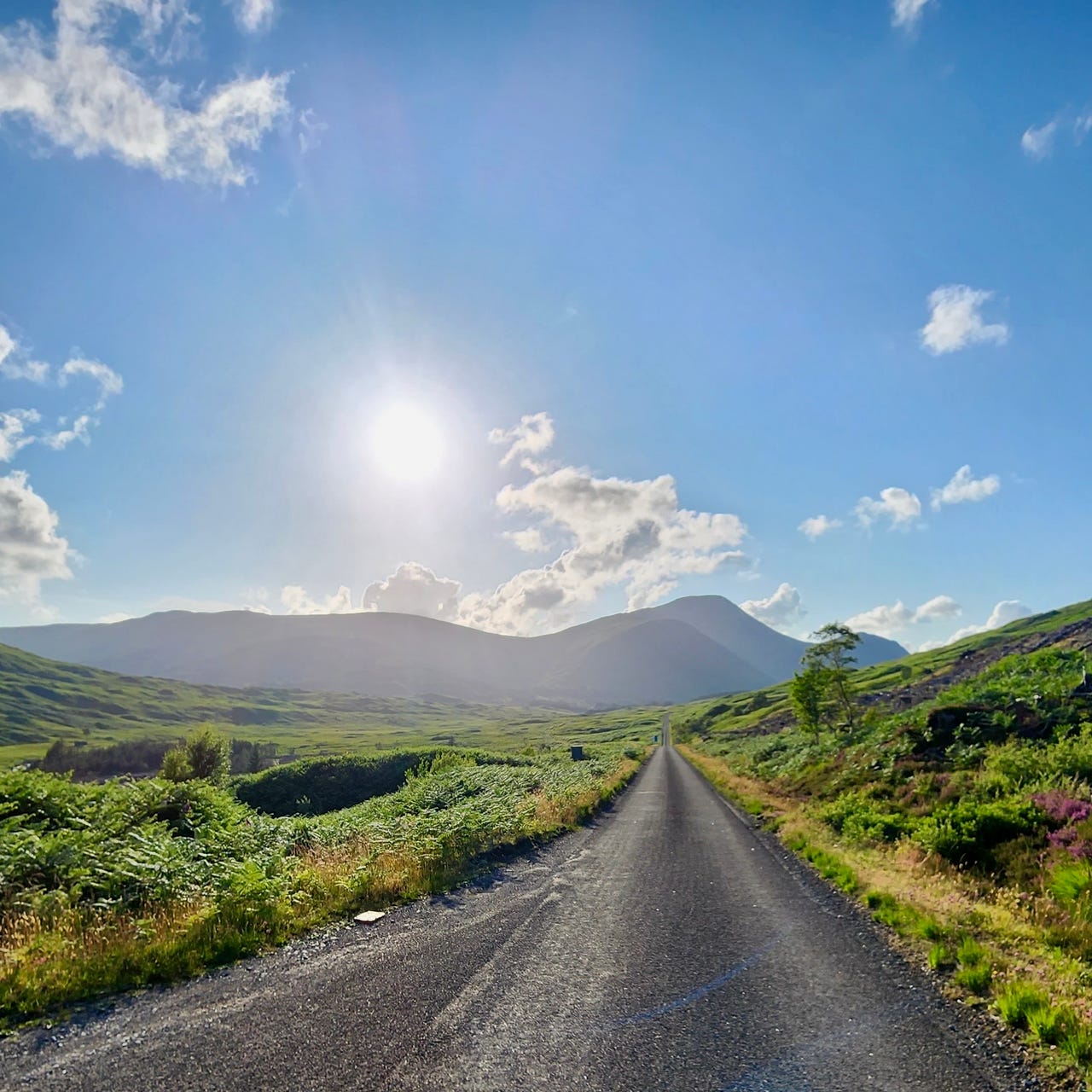 Toward Home: Adventures of Heart and Spirit