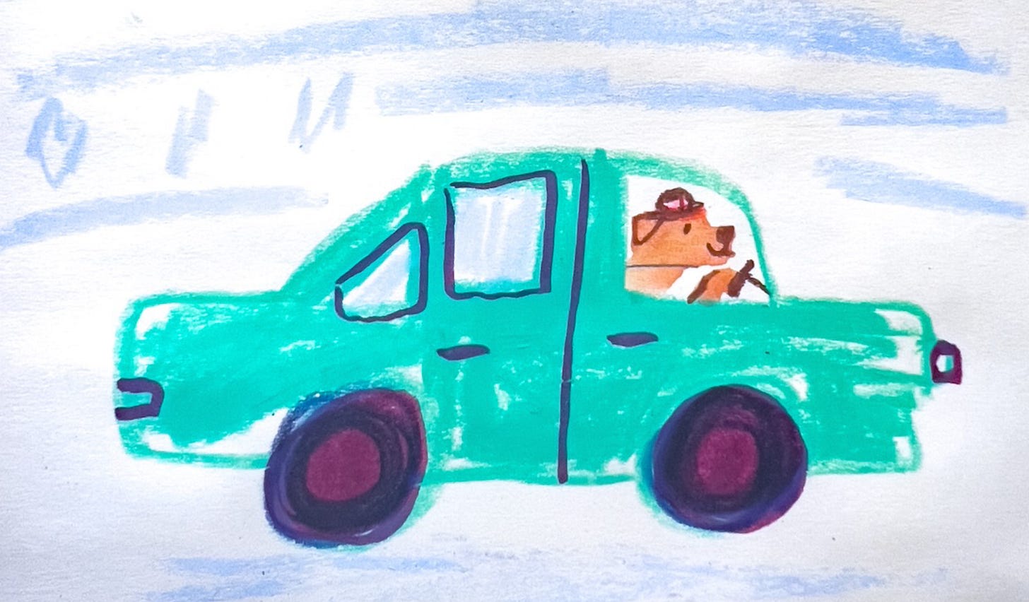 driving dog illustration by Beth Spencer driving dog illustration by Beth Spencer