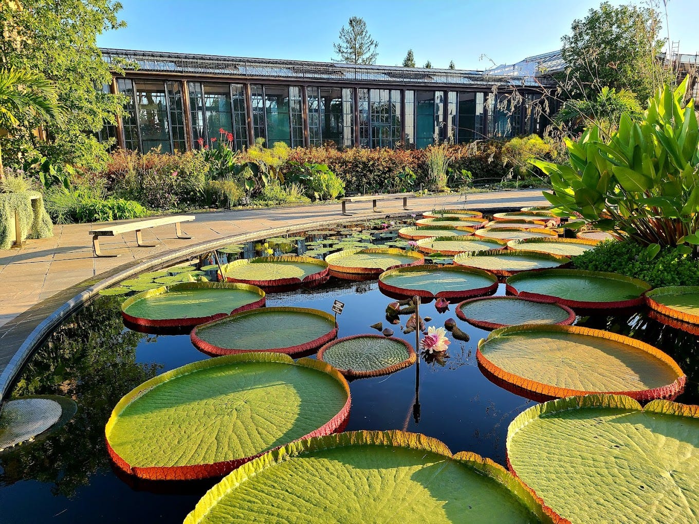 Photo of botanical garden Photo of botanical garden