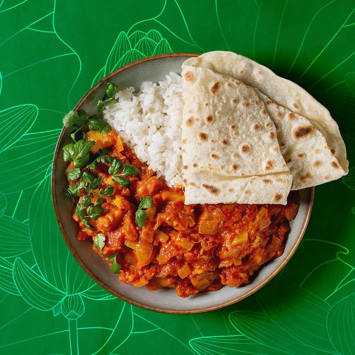 indian food illustration