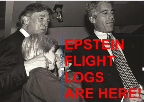 ALERT-EPSTEIN FLIGHT LOGS HAVE BEEN EXPOSED! TRUMP IS ON THEM!
