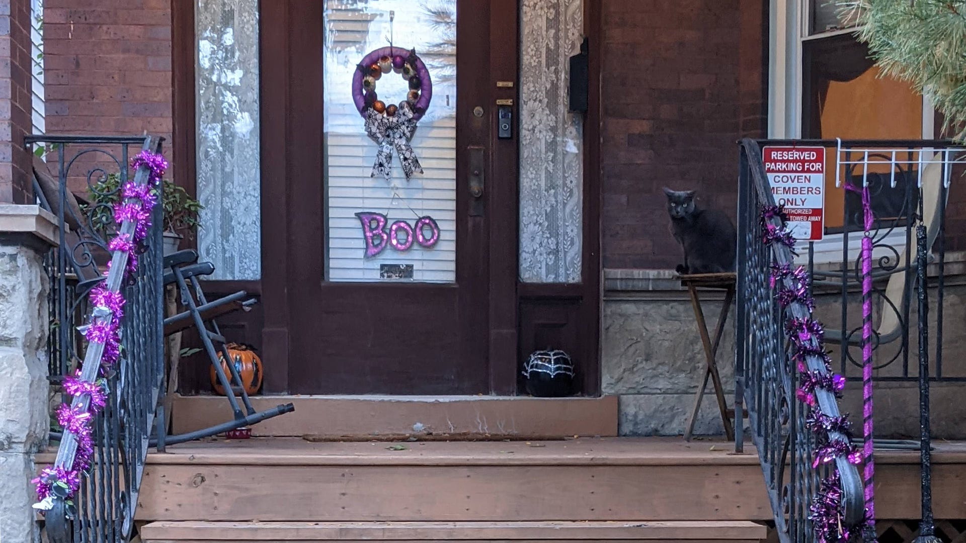 A dark gray cat sitting on a halloween decorated stoop