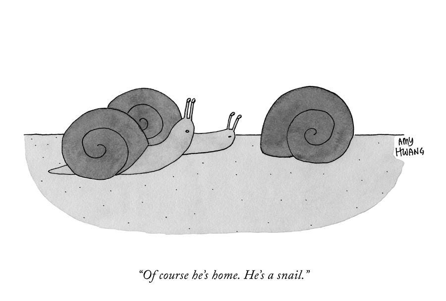 He's A Snail by Amy Hwang