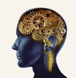 See related image detail. Brain wheels See related image detail. Brain wheels