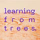 Learning from Trees