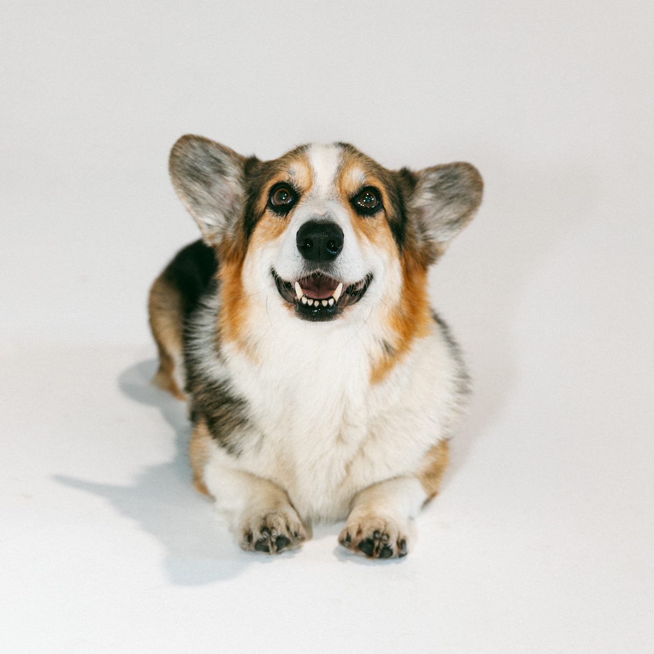 Walking With Graffiti