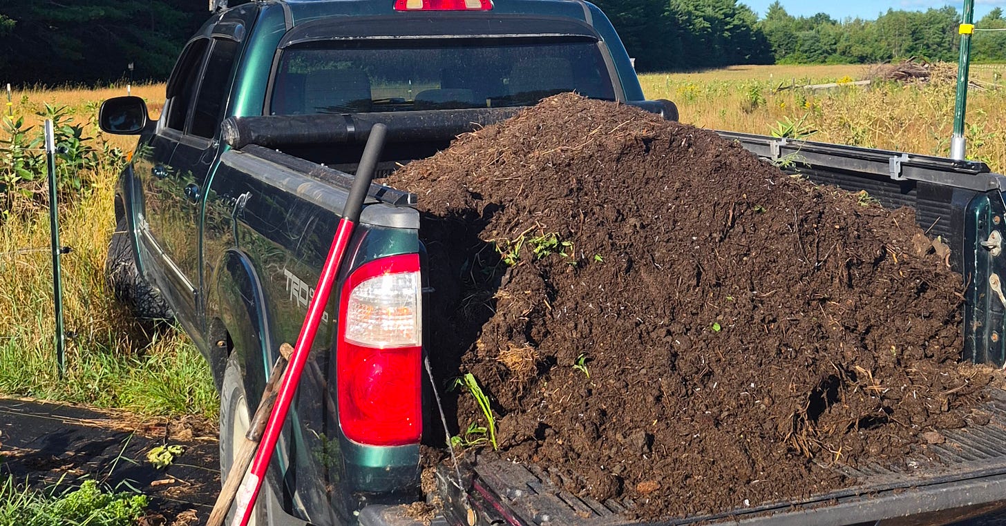 A truck bed loaded with composted manure, shovel resting against the tailgate.
